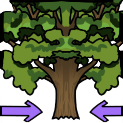 a close view of the trunk of a tall oak tree, with a purple arrow pointing to it from either side.